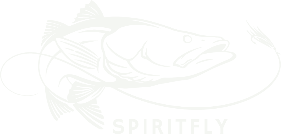 Spirit Fly Charters